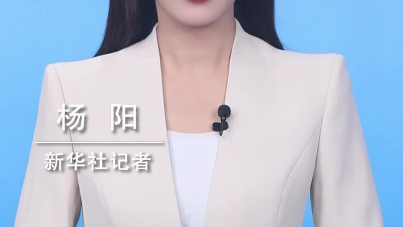 企业级软件部署模式的技术决策点